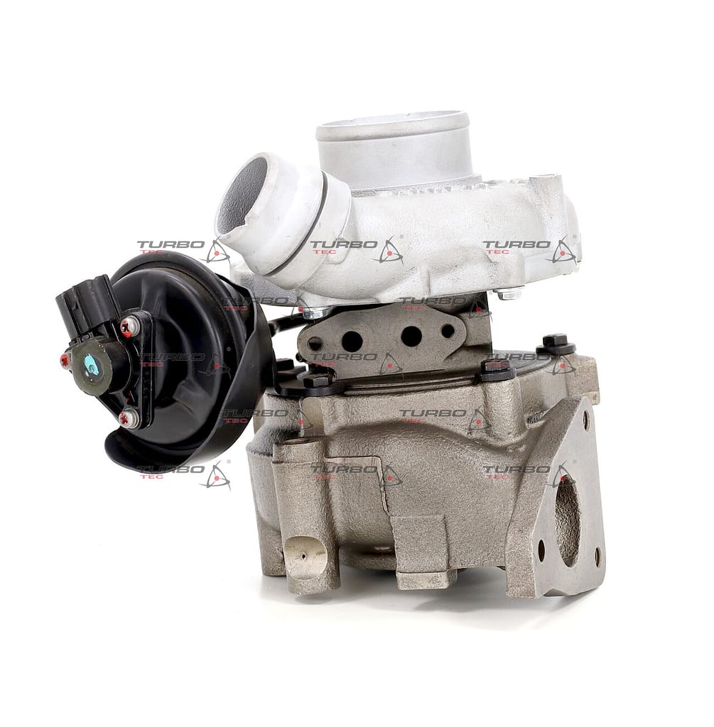 3cffdda353404e24435a7ff4da322319