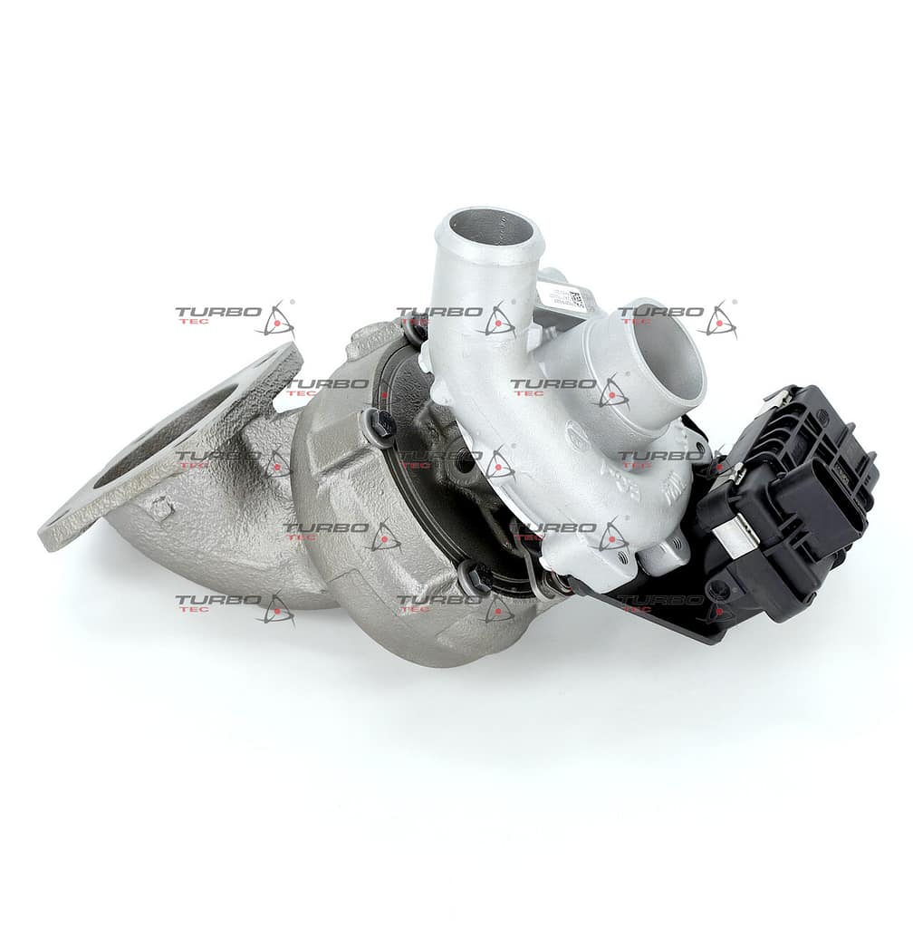 8754a0c46767c4ee367d11a0edaceadc