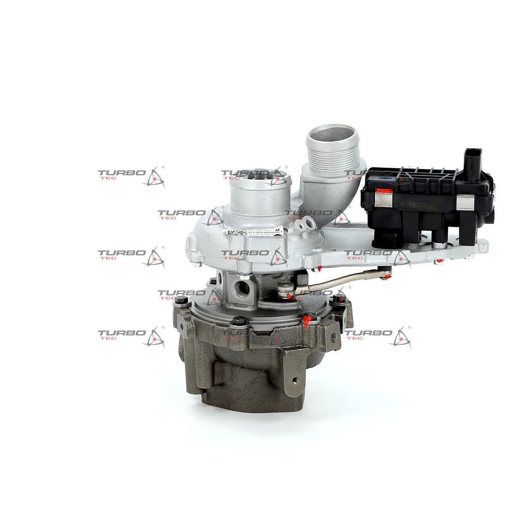 338db02af5362bcf63b43541933e5792