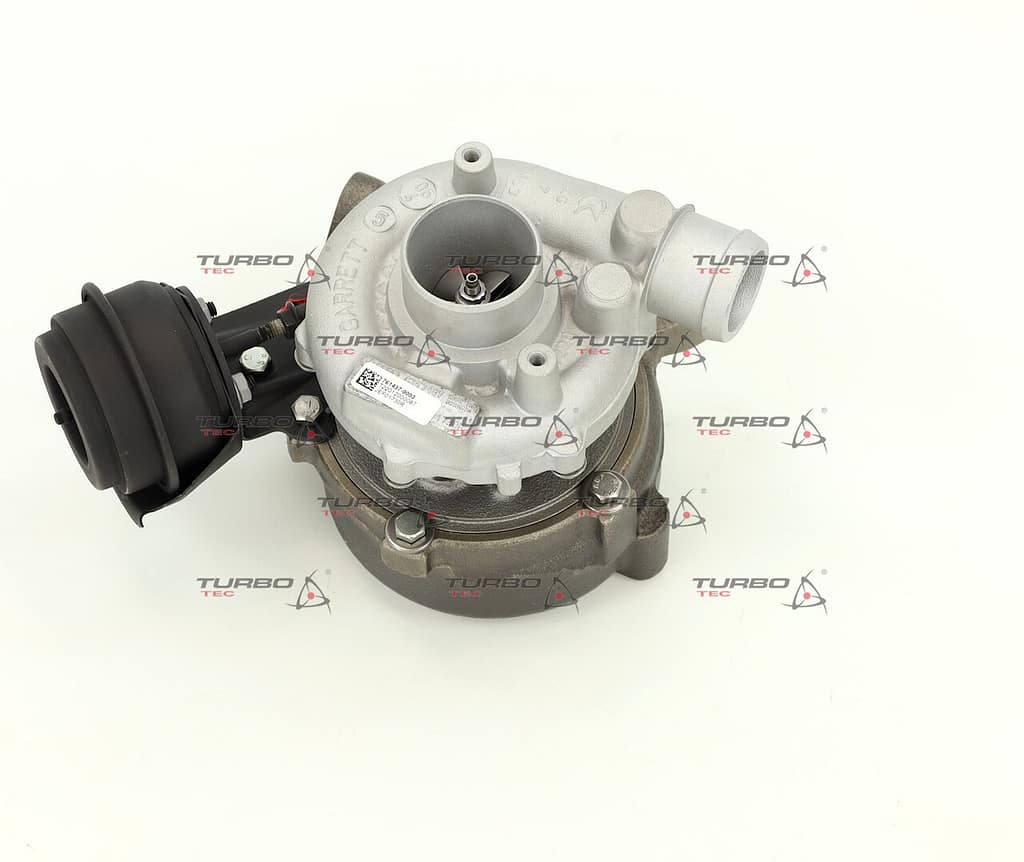 2e88424e6a41ebce40a817e1f33029ca