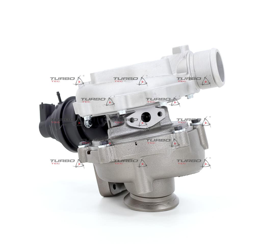 50500af4ff8dab5c651077164662d9bd