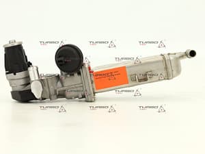 d667aa8a77c40279f51655579227e518