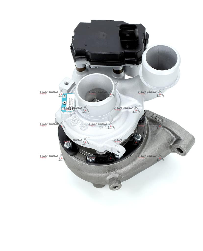 8f02a932e1883f70f0f9ddfcdafbe123