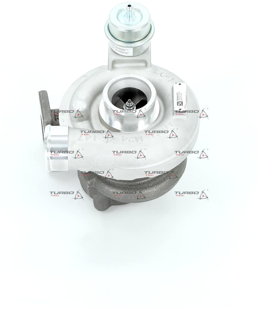 cc8639c7c3c5268724a18052d1a269df