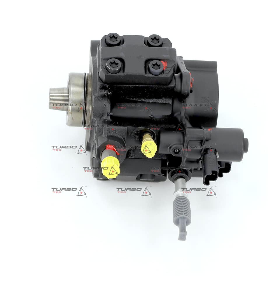 565c3a31768e62fd2c85019f775b1013