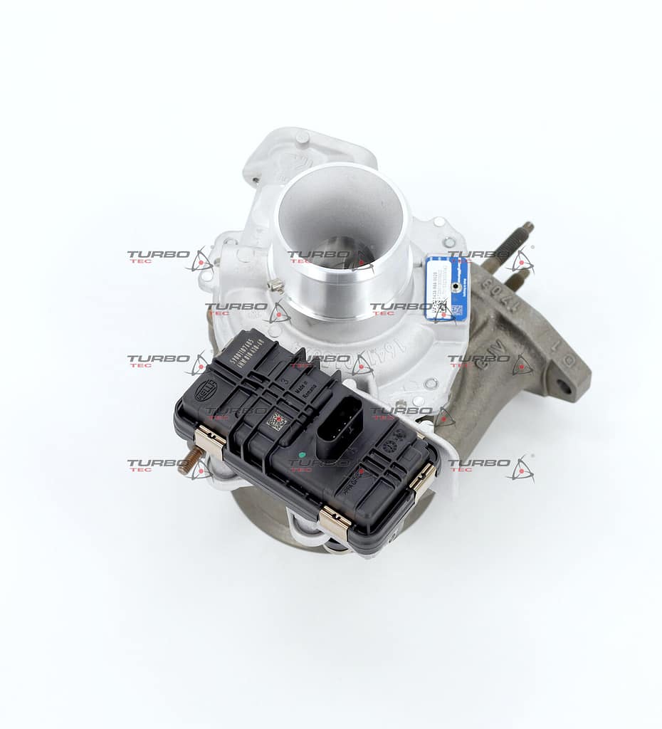 888183034a7b3cb55a242e1a4a4ed438