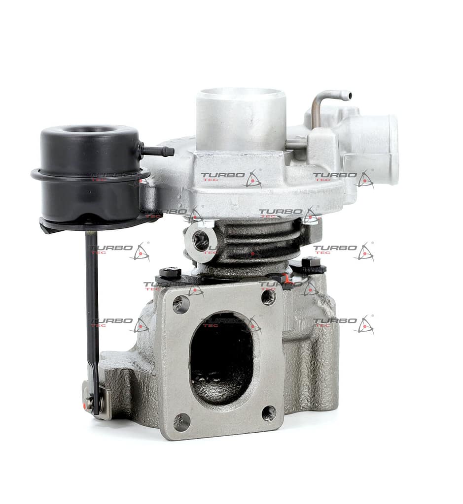 2321ac626303134cd95d138d374cf4ba