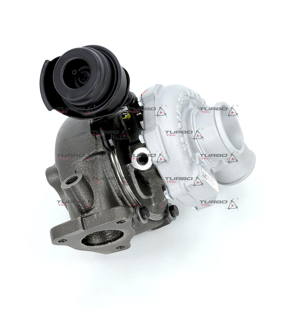 902a2331c67495e24a30727b860a6709